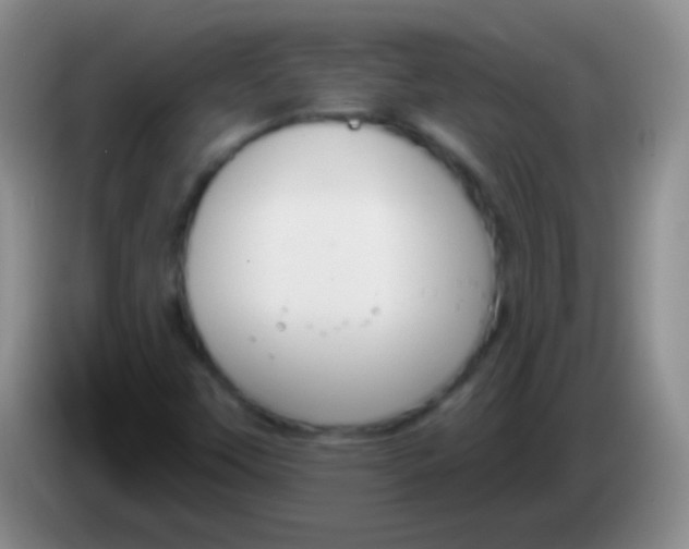 X0000083991451200703091835