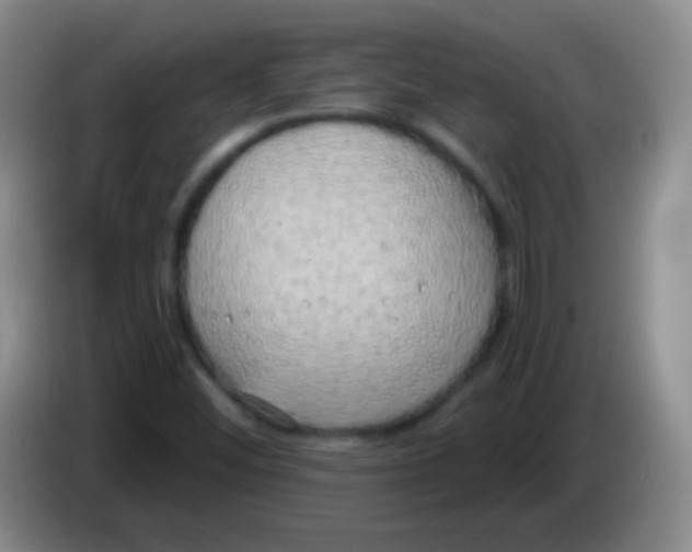 X0000083991452200703091835