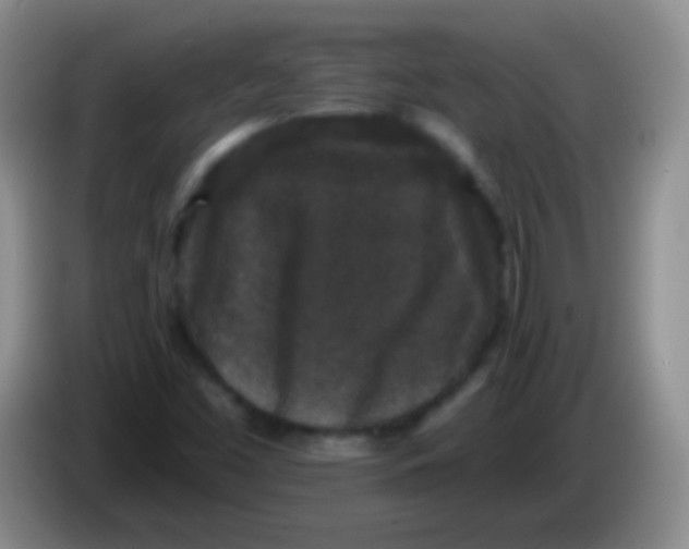 X0000083991453200703091835