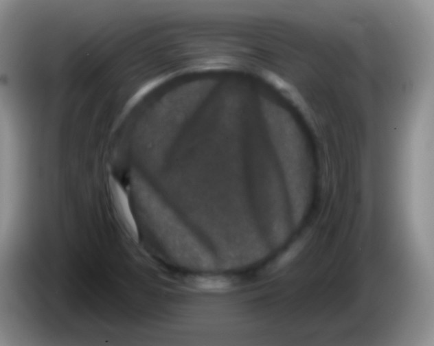 X0000083991457200703091835