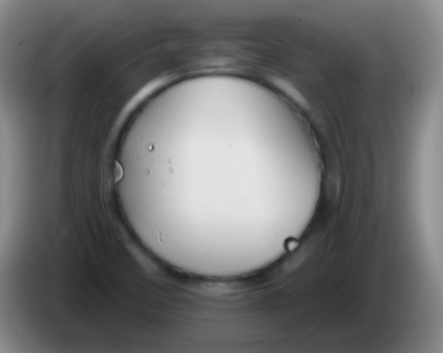 X0000083991458200703091835