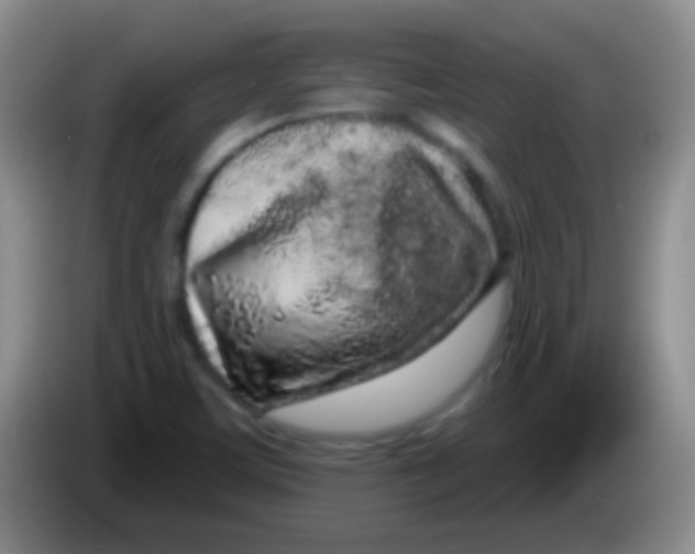 X0000083991459200703091835