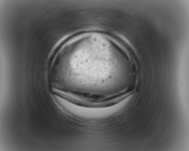 X0000083991460200703091835