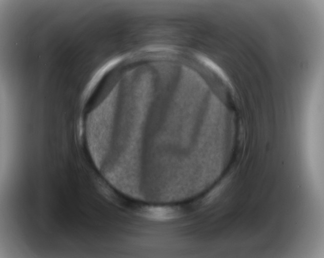 X0000083991461200703091835