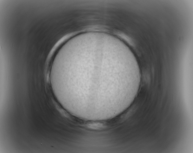 X0000083991462200703091835