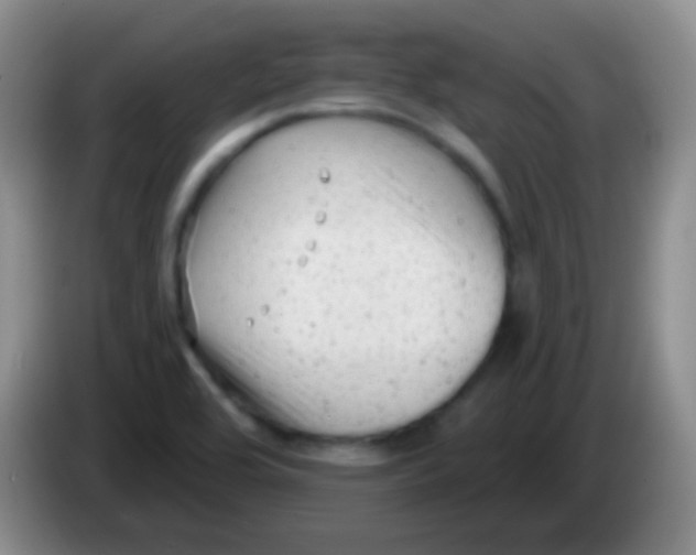 X0000083991464200703091835