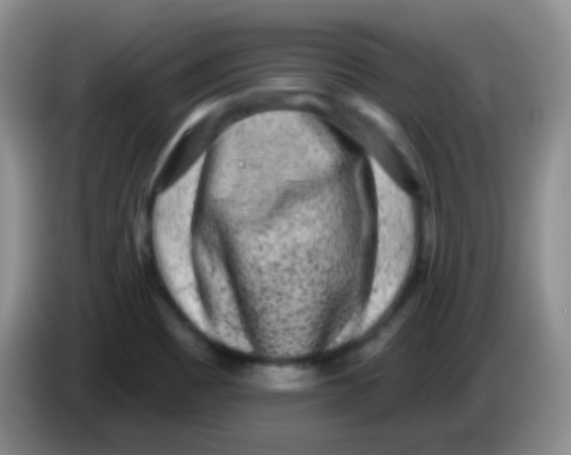 X0000083991465200703091835