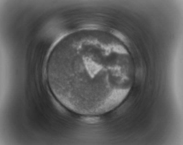 X0000083991466200703091835