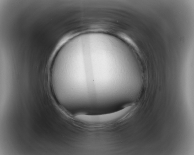 X0000083991467200703091835