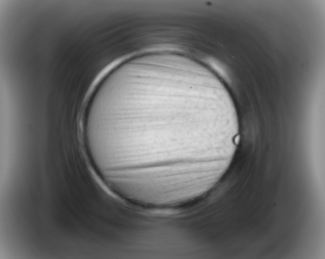 X0000083991468200703091835