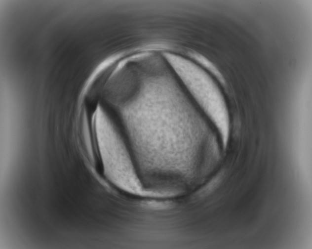 X0000083991469200703091835