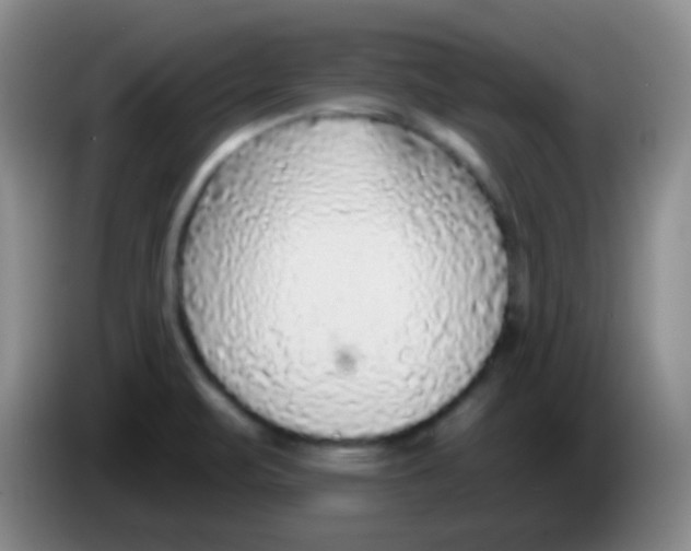 X0000083991471200703091835