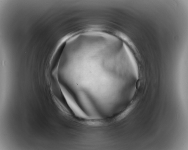 X0000083991473200703091835