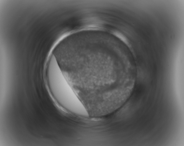 X0000083991474200703091835