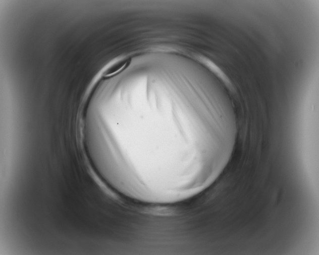 X0000083991476200703091835