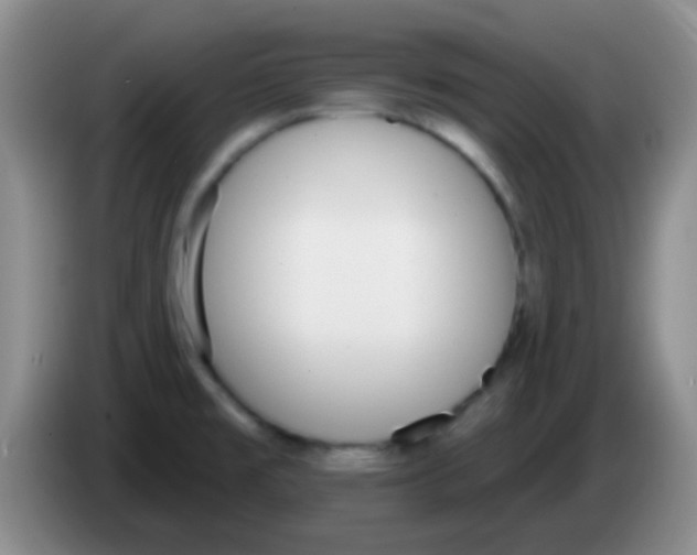 X0000083991477200703091835