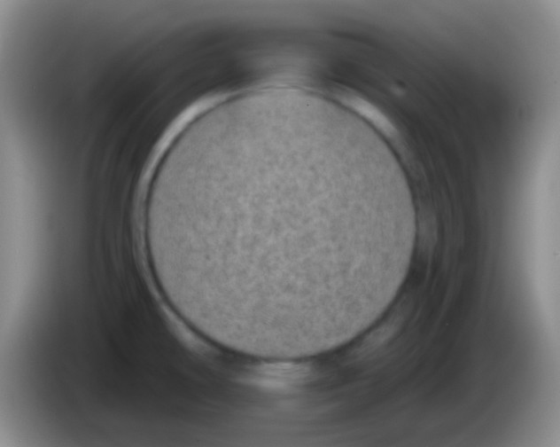 X0000083991478200703091835