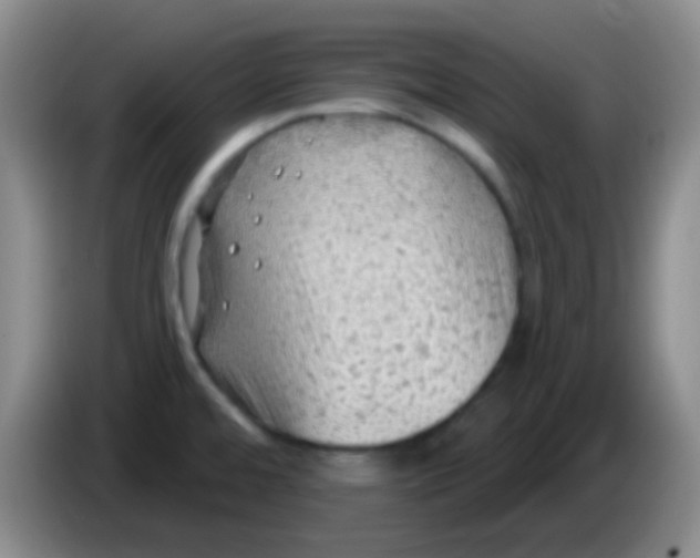 X0000083991480200703091835