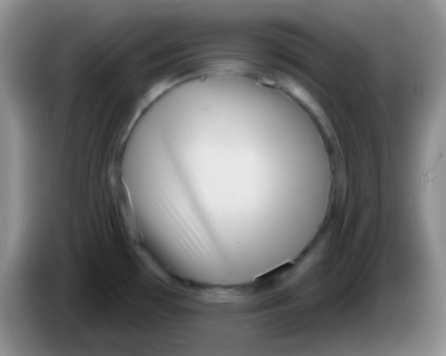 X0000083991481200703091835