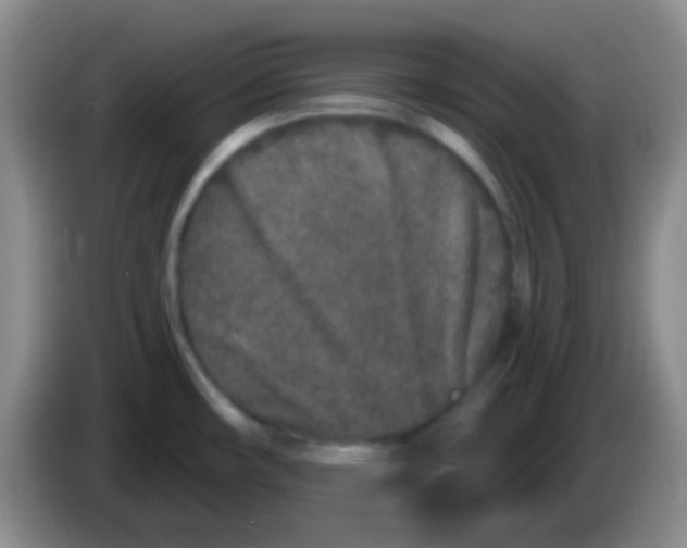 X0000083991482200703091835