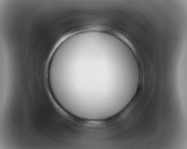 X0000083991483200703091835