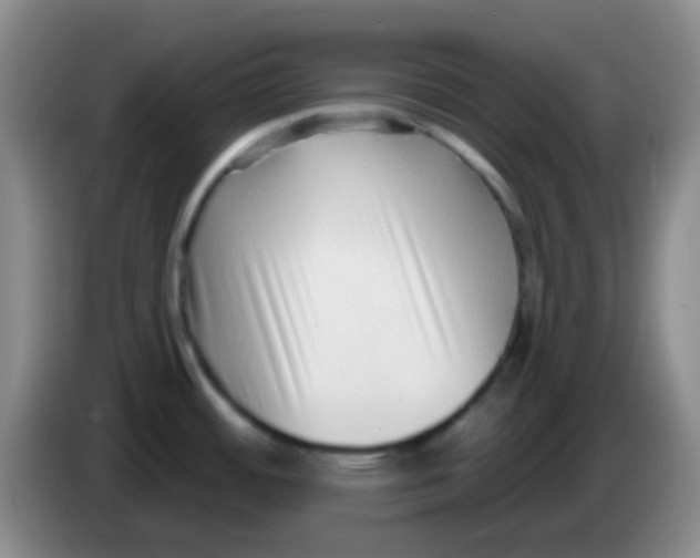 X0000083991484200703091834