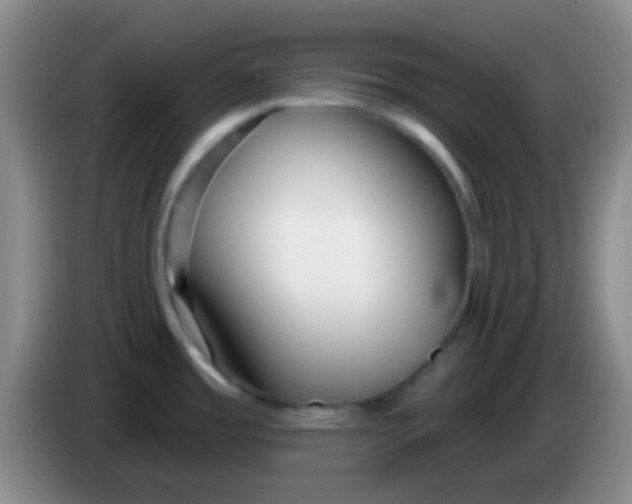 X0000083991485200703091834