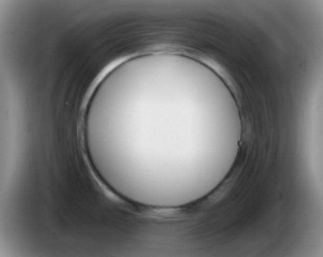 X0000083991486200703091834