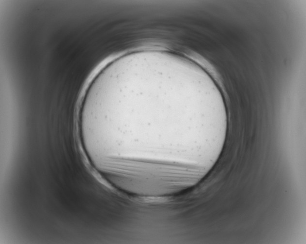 X0000083991488200703091834