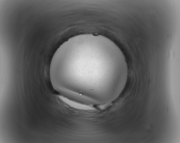 X0000083991490200703091834