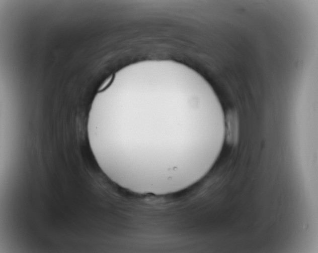 X0000083991491200703091834