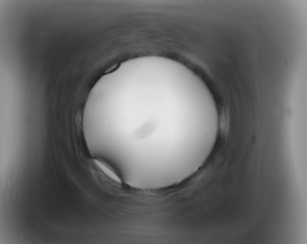 X0000083991492200703091834