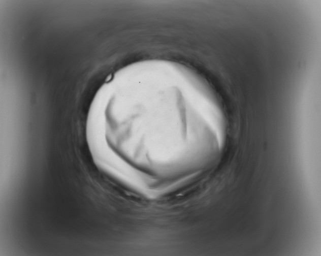 X0000083991493200703091834