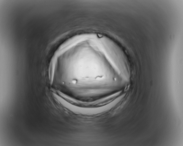 X0000083991494200703091834