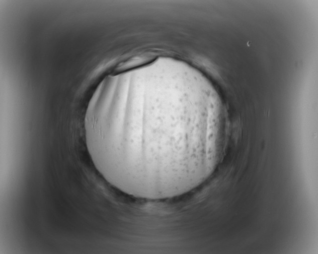 X0000083991496200703091834