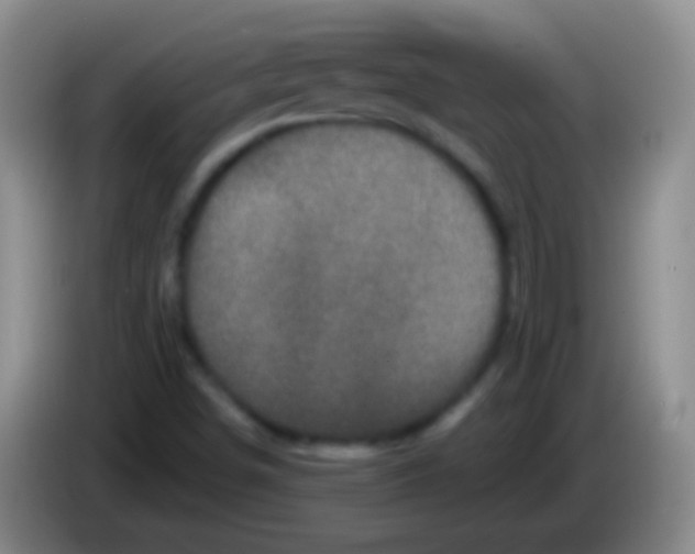 X0000083991498200703091834