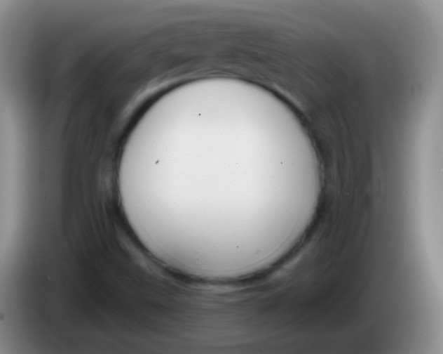 X0000083991499200703091834