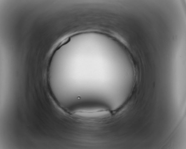 X0000083991500200703091834