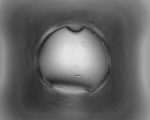 X0000083991501200703091834