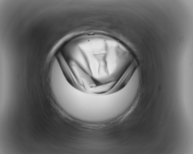 X0000083991502200703091834