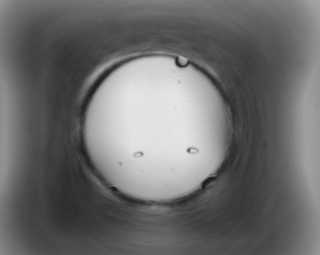 X0000083991503200703091834