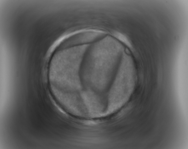 X0000083991504200703091834