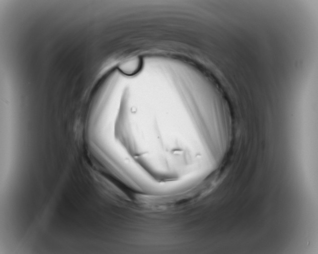 X0000083991505200703091834