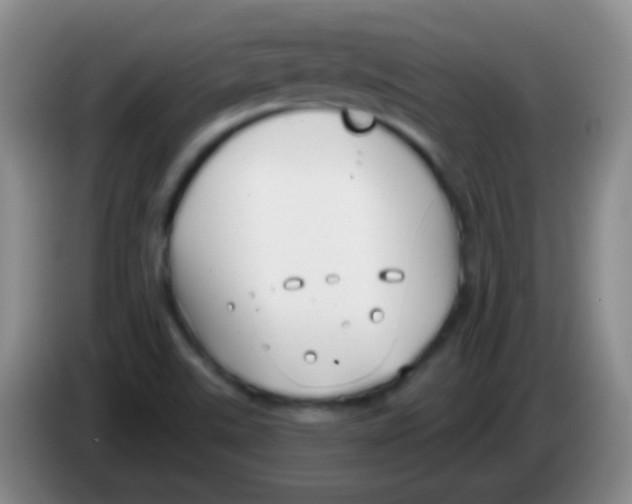 X0000083991507200703091834