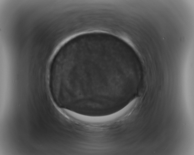 X0000083991508200703091834