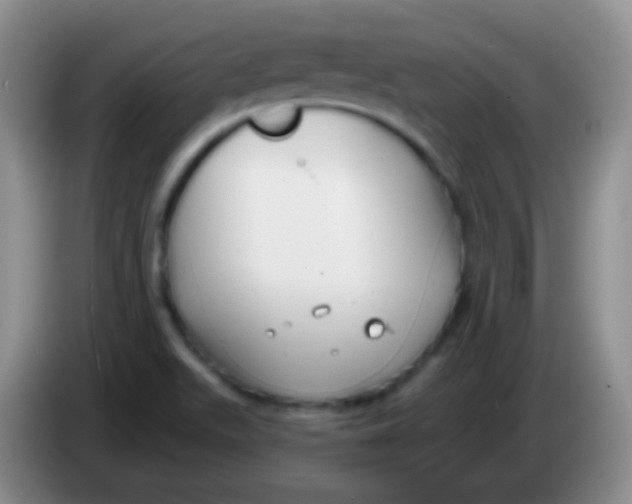 X0000083991511200703091834