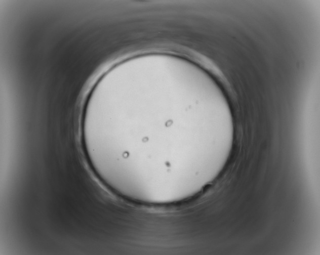 X0000083991512200703091834