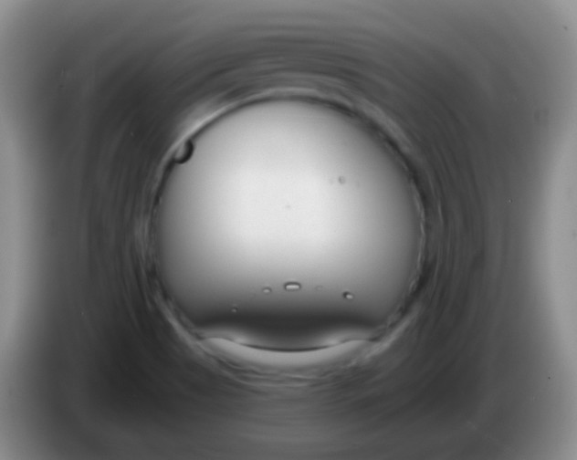 X0000083991513200703091834