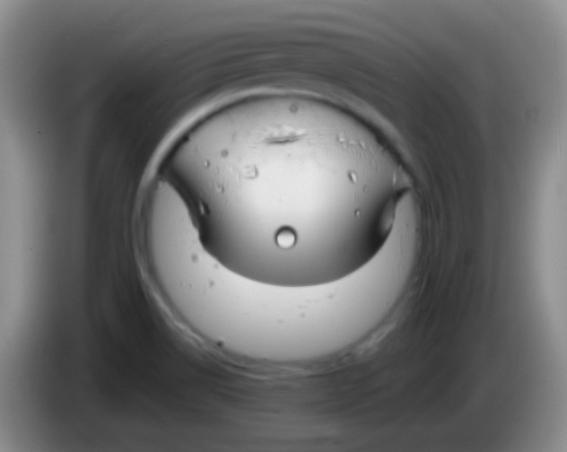 X0000083991514200703091834