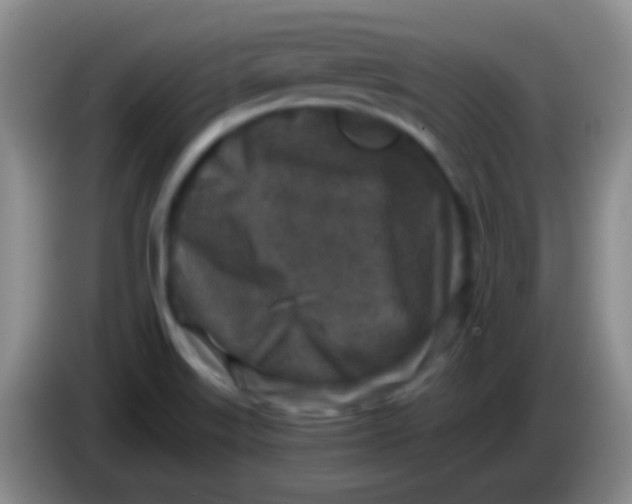 X0000083991515200703091834